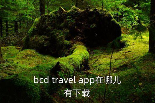 国际旅游健康证明怎么下载，国际旅行健康证明书包括哪些内容