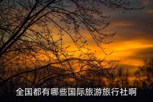 全国都有哪些国际旅游旅行社啊