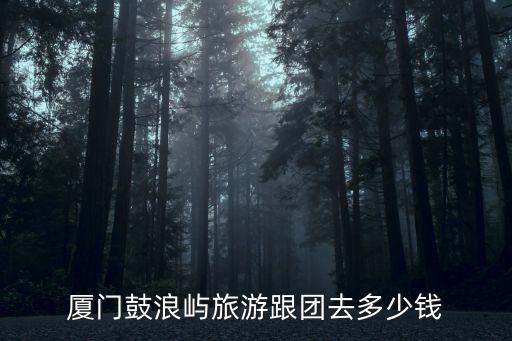 厦门鼓浪屿旅游团价格，请问团体40人左右去厦门鼓浪屿旅游两天费用是多少