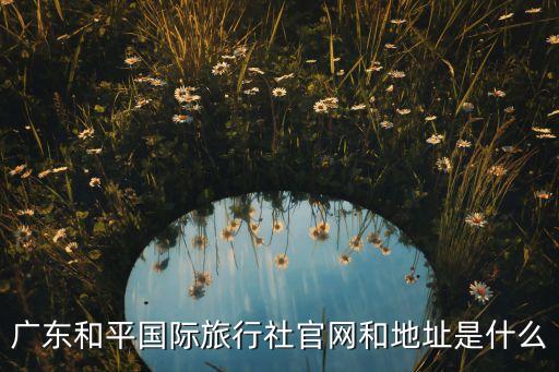 广东和平国际旅行社官网和地址是什么