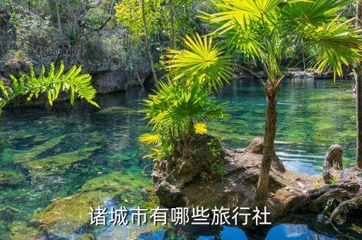 诸城旅游公司有哪些，诸城哪家旅行社好