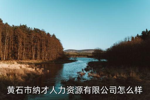黄石市纳才人力资源有限公司怎么样