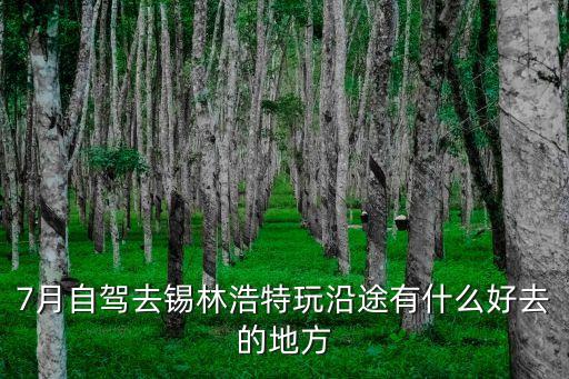 锡林浩特旅游攻略自驾游，7月自驾去锡林浩特玩沿途有什么好去的地方
