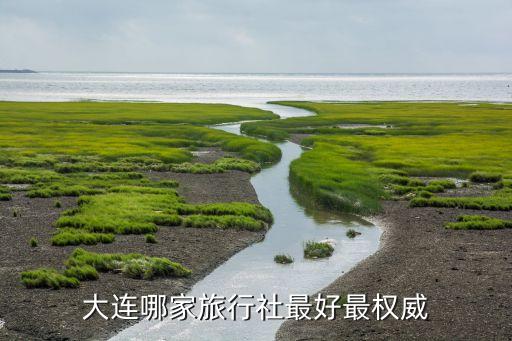大连哪家旅行社最好最权威