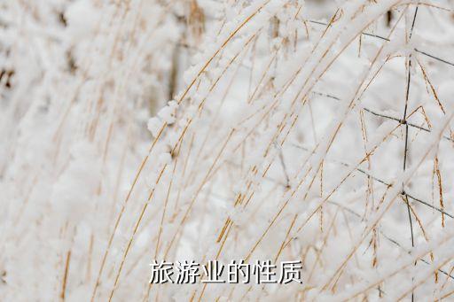 旅游业的性质