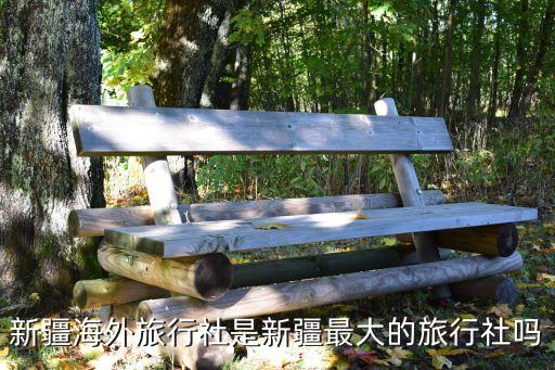 新疆最大的旅行社，新疆海外旅行社是新疆最大的旅行社吗