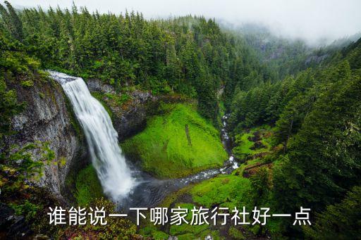 谁能说一下哪家旅行社好一点
