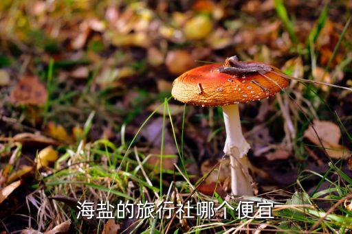 海盐的旅行社哪个便宜