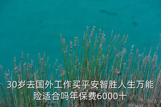 30岁去国外工作买平安智胜人生万能险适合吗年保费6000十