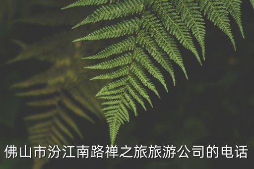 佛山市汾江南路禅之旅旅游公司的电话