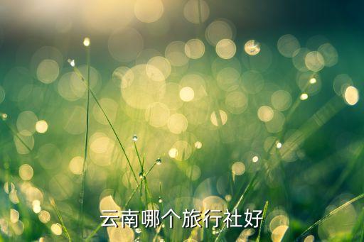 云南北方国际旅行社怎么样，云南哪个旅行社好