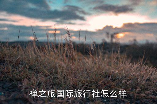 禅之旅国际旅行社怎么样