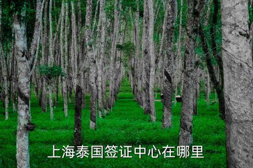 上海泰国签证中心在哪里