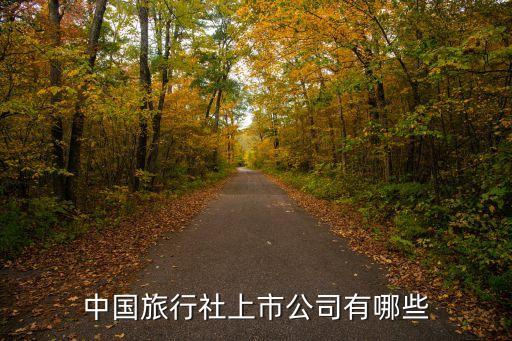 中国旅行社上市公司有哪些