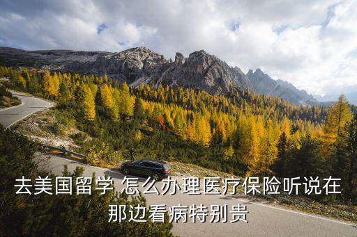 境外医疗保险如何办理，去美国留学 怎么办理医疗保险听说在那边看病特别贵