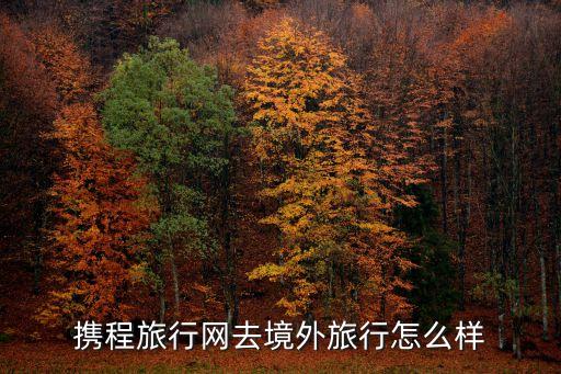 携程旅行网去境外旅行怎么样