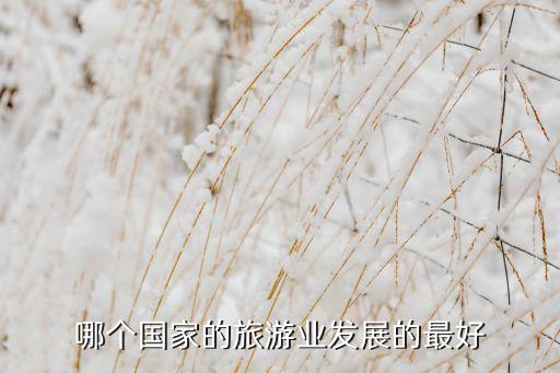 哪个国家的旅游业发展的最好
