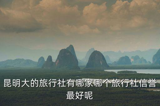 昆明大的旅行社有哪家哪个旅行社信誉最好呢