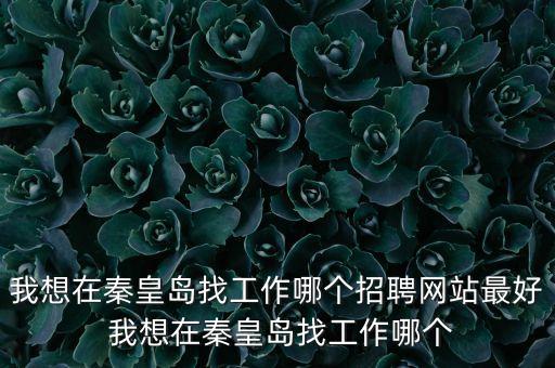我想在秦皇岛找工作哪个招聘网站最好 我想在秦皇岛找工作哪个