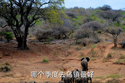 哪个季度去乌镇最好