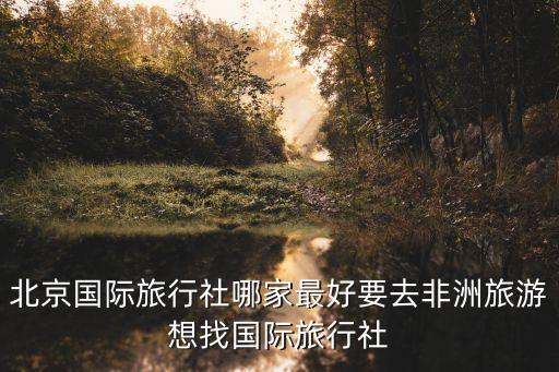 北京国际旅行社哪家最好要去非洲旅游想找国际旅行社