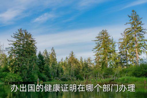 出入境健康证书，出入境健康证要在出国前多久办理