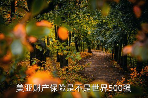 美亚保险是哪个国家，美亚财产保险是不是世界500强