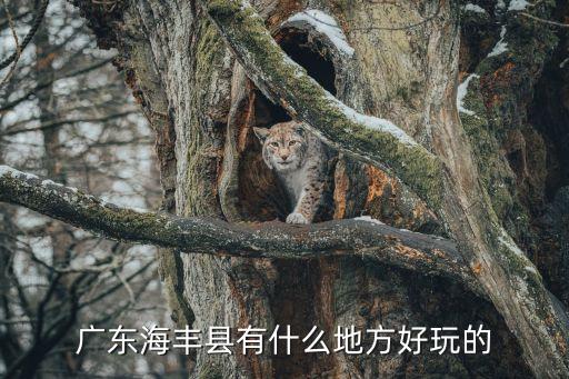 广东海丰县有什么地方好玩的