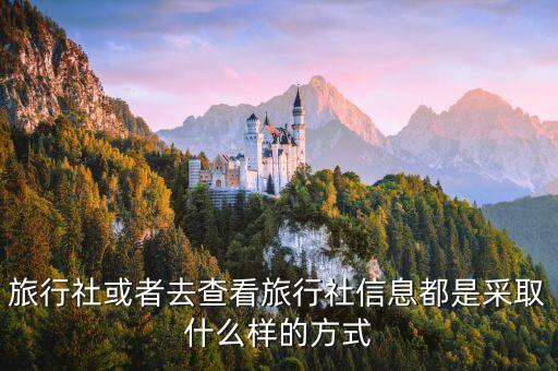 查旅行团在哪儿查，只知道导游名字怎么查找其所属的旅行社