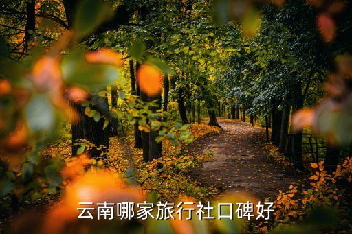 云南正规旅行社哪家好，云南哪些旅行社靠谱