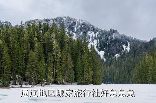 通辽地区哪家旅行社好急急急