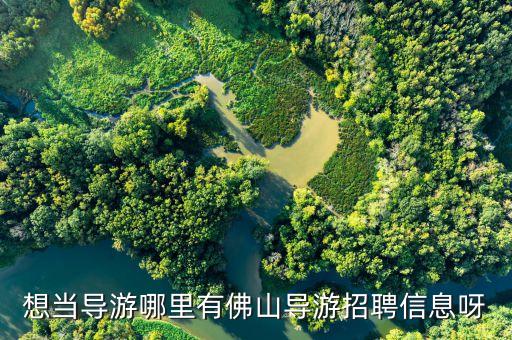 导游招聘信息，我们旅行社想招聘导游 不知道招聘信息怎么写