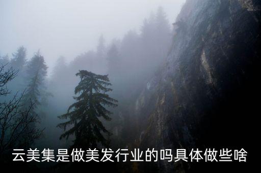 新云美业是干啥的呀，美容行业是做什么的