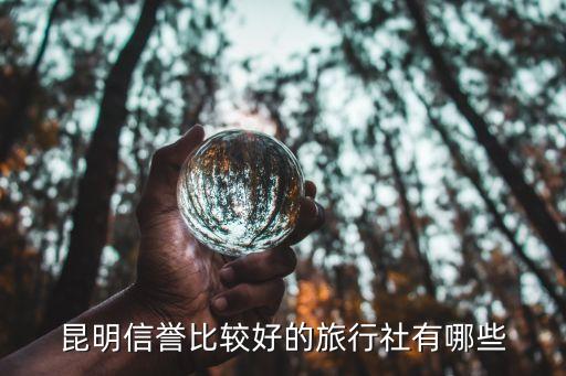 昆明好点的旅行社有哪些，昆明信誉比较好的旅行社有哪些