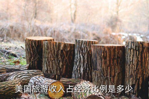 美国旅游业发展现状，美国旅游收入占经济比例是多少
