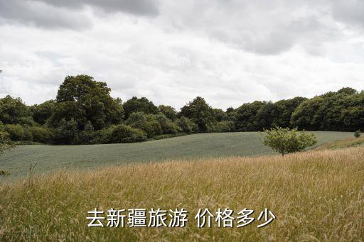 去新疆旅游 价格多少