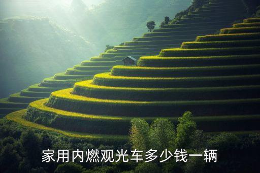 观光车多少钱一辆，家用内燃观光车多少钱一辆