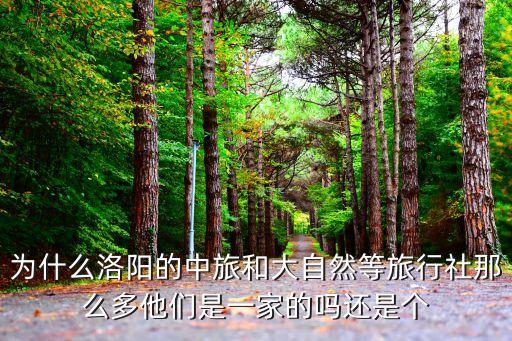 为什么洛阳的中旅和大自然等旅行社那么多他们是一家的吗还是个
