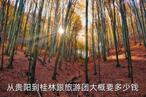 贵州旅行社旅游价格，从贵阳到桂林跟旅游团大概要多少钱