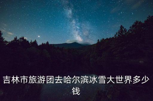 吉林旅行社旅游报价单去哈尔滨，吉林市旅游团去哈尔滨冰雪大世界多少钱