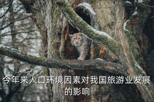 今年来人口环境因素对我国旅游业发展的影响
