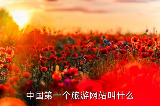 中国第一个旅游网站叫什么