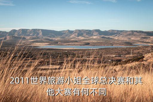 2011世界旅游小姐全球总决赛和其他大赛有何不同