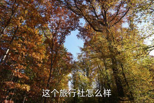 这个旅行社怎么样