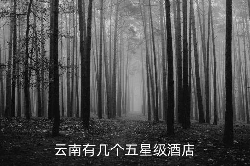云南五星级酒店，云南有几个五星级酒店