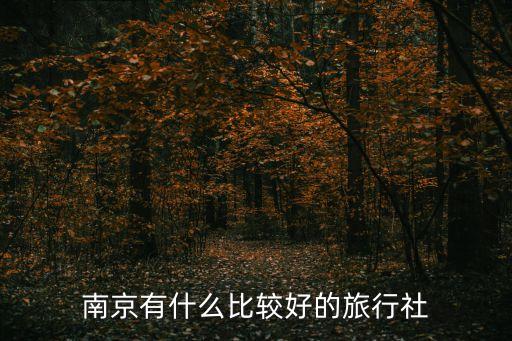 南京有什么比较好的旅行社
