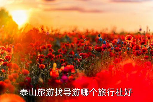 泰山旅游找导游哪个旅行社好
