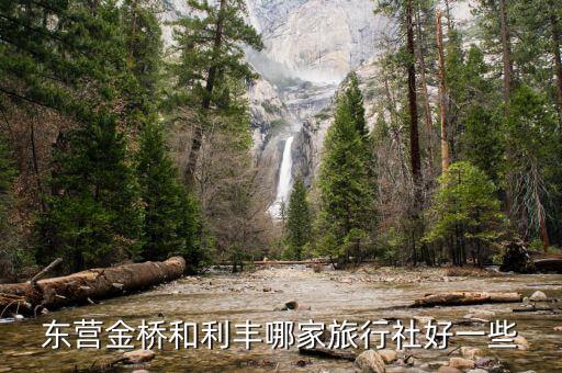 东营金桥和利丰哪家旅行社好一些
