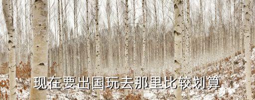 现在要出国玩去那里比较划算