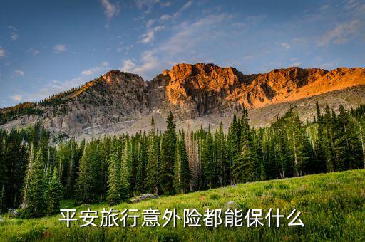 平安旅行意外险都能保什么
